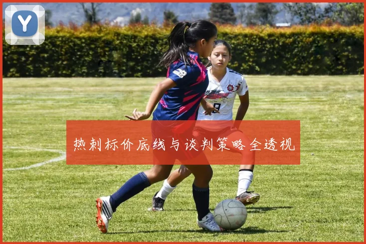 热刺标价底线与谈判策略全透视
